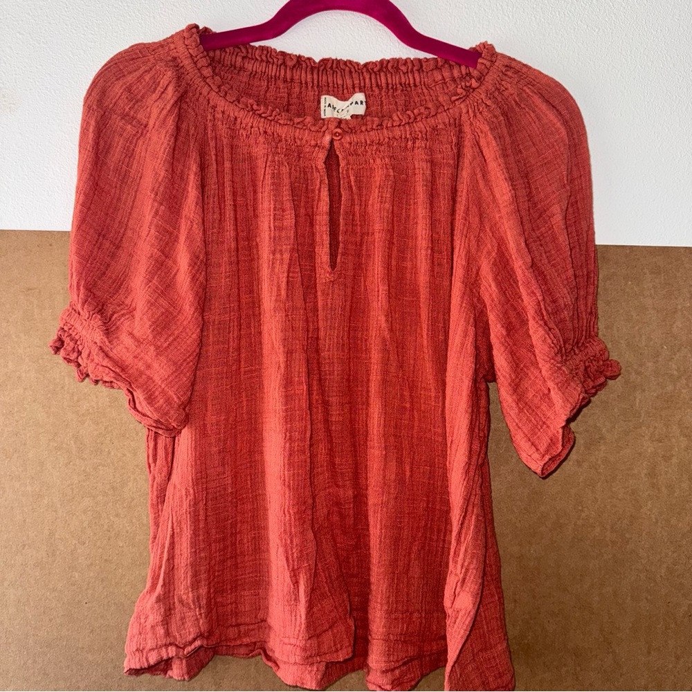 Apiece Apart Terracotta Blouse Organic Cotton size Large
